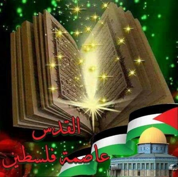 Meet your Posher, Mayosm - Picture 1 of 1